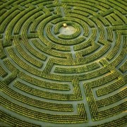 maze