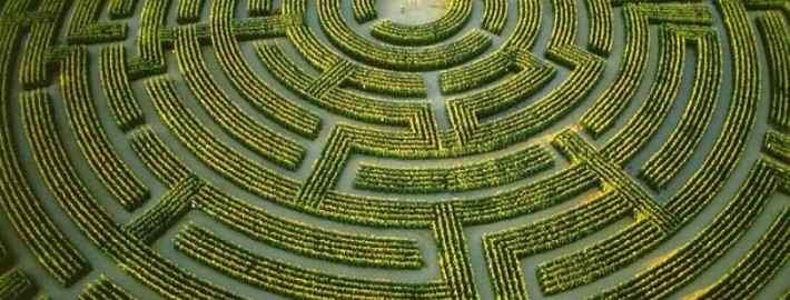maze