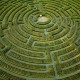 maze